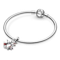 Charm Pandora Donna Pandora Moments in Argento Zirconia 790064C01 - 790064C01